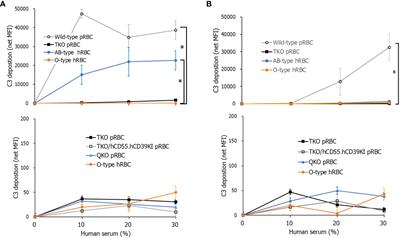 Initial investigation on the feasibility of porcine red blood cells from genetically modified pigs as an alternative to human red blood cells for transfusion